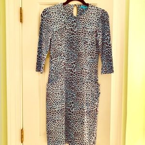 J. McLaughlin Leopard Dress